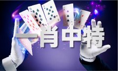 ww997997藏宝阁